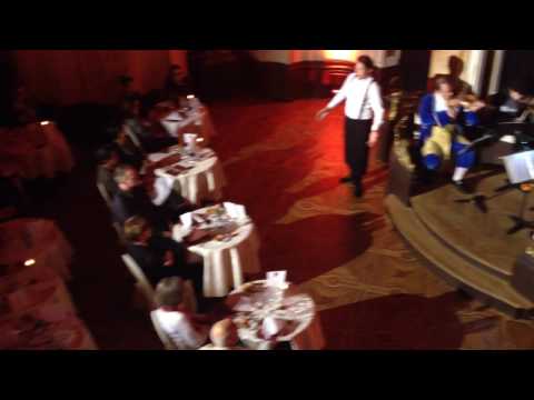 Private Opera and Mozart music with Dinner in Prague IV