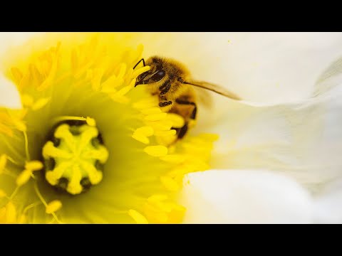 Andre Wermelinger - présentation de la journée du 21 novembre