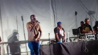 Main Source - Looking At The Front Door live at Unity Fest Toronto 2017