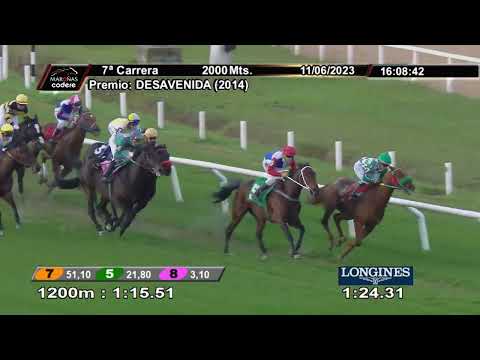 230611 c07 GIANNI LOVE