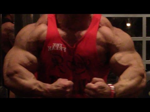 300LBS SHREDDED - OLYMPIA BOUND - 24 INCH ARMS - WHATEVER IT TAKES - THE FREAK
