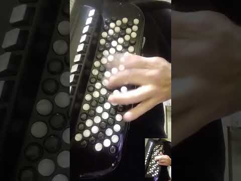 Umetnicko kolo - Ljupko Tomic #Shorts