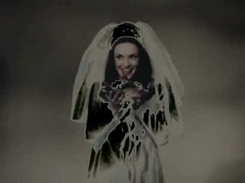 Maylan - Consumer Object