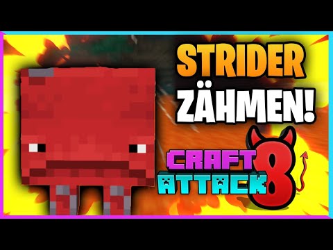 So zähmt man STRIDER! | Craft Attack 8