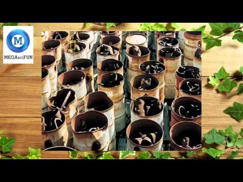 MegaStructures   Megabridges  Denmark To Sweden National Geographic Documentary