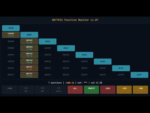 Video Mattrix Position Monitor