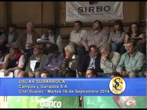 Lolen - Nota Oscar Subarroca- Campos y Ganados S.A.- 16/09/2014