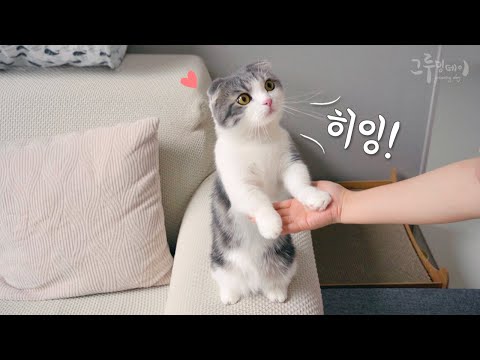 엄마 나가지 말라고 붙잡는 고양이