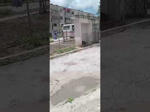 Denuncian presunto maltrato a un perro abandonado tras la muerte de su dueña en Santa Clara #cuba