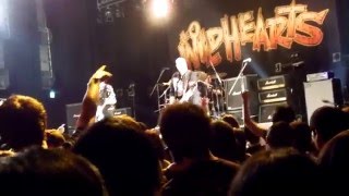 THE WiLDHEARTS - TV Tan -Live@O-EAST Tokyo Japan 2015.11.24