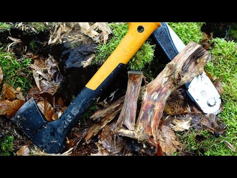 Das Gold des Waldes | Bushcraft | Survival
