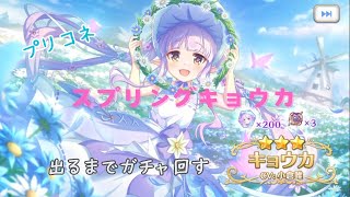 プリコネ　ガチャ　スプリングキョウカ　最強魔法火力　出るまで回す！