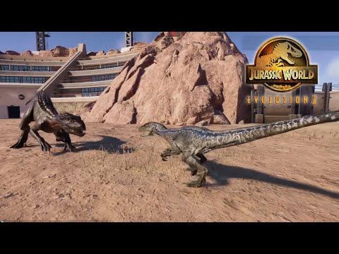 1X INDORAPTOR VS 4X RAPTORS - EPIC DINOSAUR BATTLE ROYALE - JURASSIC WORLD EVOLUTION 2 DINO FIGHT