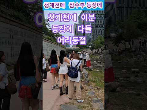 청계천 잠수부 등장에  다들  깜짝놀람#서울#여행#힐링#외국인반응