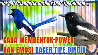 Download lagu CARA MEMBENTUK POWER DAN MENINGKATKAN EMOSI KACER TIPE DINGIN mp3