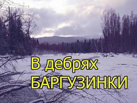 В дебрях Баргузинки (укв) /In the wilds of the Barguzinka River
