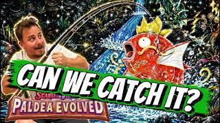 I Opened Paldea Evolved Pokémon Packs Hunting the $100+ Magikarp! 🎣🔥 #pokemon #pokemontcg #pokémon