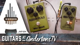 Way Huge WHE408 Russian-Pickle - What To Know & Where To Buy