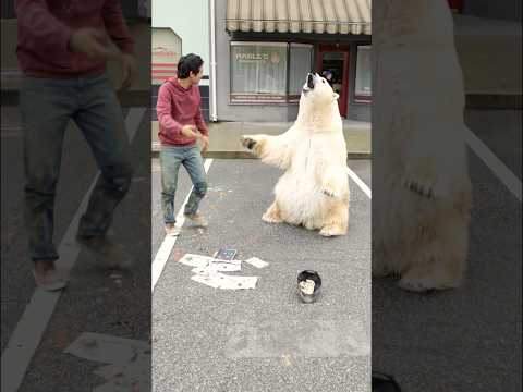 Ice Bear would appreciate some cheese 🧀