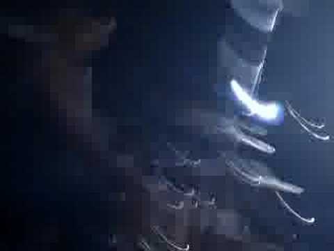 arbak dal gülendam burak kulaksızoğlu