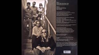 Violent Femmes - Fast Horses