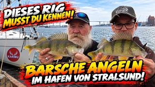 Diese Rigs musst du kennen! - Barsche angeln im Hafen von Stralsund - ANGLERSCHW