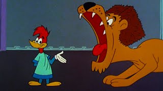 Pica-Pau | Mega Compilação Clássica Vol. 17 | Desenhos Animados Retrô Engraçados