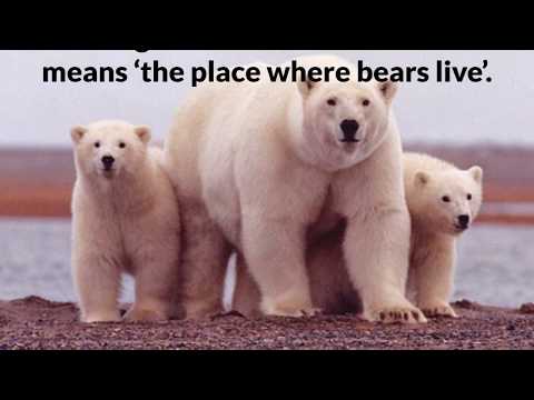 Arctic Antarctic two ancient Greek words the meaning