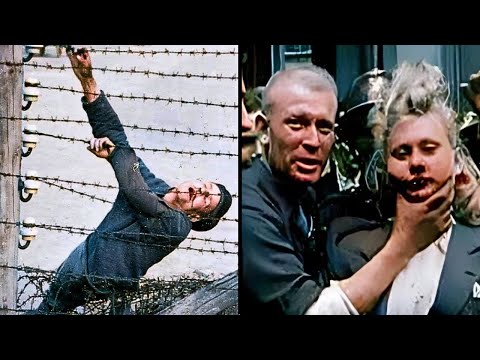 Auschwitz : Les Pires Atrocités de l'Holocauste Jamais Raconter Avant