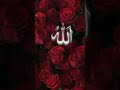 New Naat Tu Malik Khaliq Hai Allah Zoya Shoib