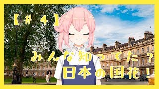 【04】みんな知ってた？日本の国花！