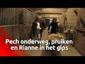 ‘t Buske is kapot, maar er is een oplossing | Brabants Buske