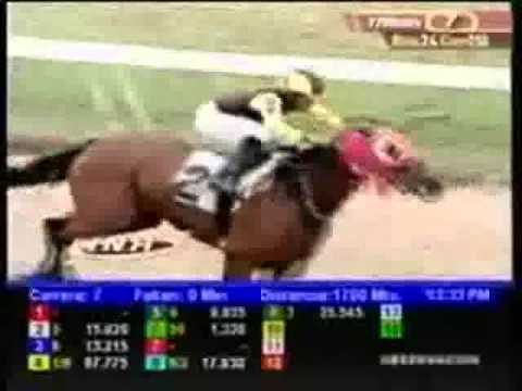 Resumen Viernes, 09 de Mayo de 2014 - Valencia