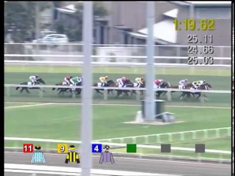 2013 BMW Hong Kong Derby (HK Group 1)