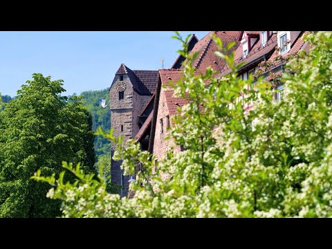 Eberbach am Neckar | Fachwerk und Fluss - Natur und Genuss