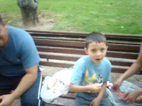 bogei-marghita spania