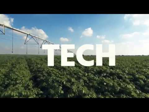 Agriculture: Brazil's wealth-generating industry (June/2019)