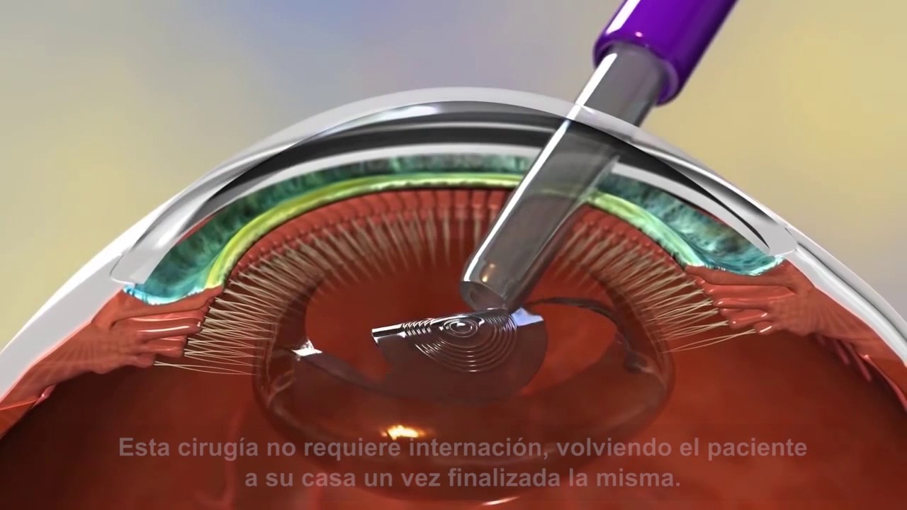 Sarai Delgado Pelayo-4