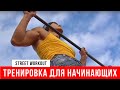 Street Workout для начинающих. Тренировка. 