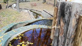 MİLAS MESİRELİK ALANI ISPARTA