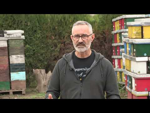 Boja meda ep. 144 08.12.2020. Faze razvoja pčelinjeg društva, pekarski med,  dr Rodoljub Živadinović
