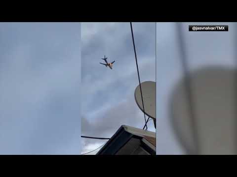 NTSB Birds in Engine