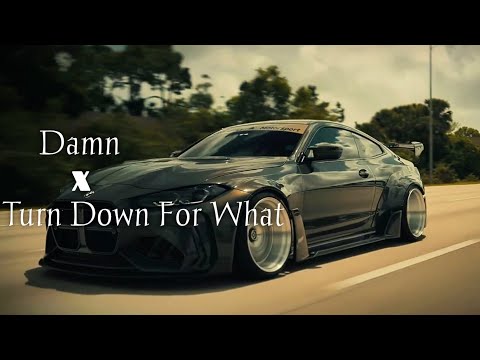 Lil Jon, Youngbloodz, DJ Snake - Damn! x Turn Down For What (remix)