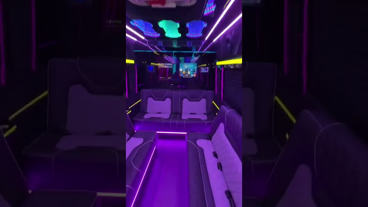 14 Passenger Party Bus