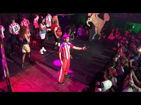 El Paragua   Plop 2019