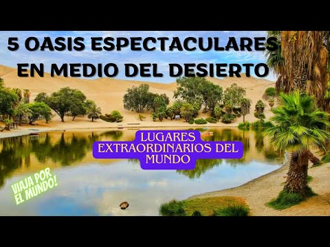 🏞️Descubre 5 Oasis Espectaculares en Medio de Desiertos Alrededor del Mundo🏞️