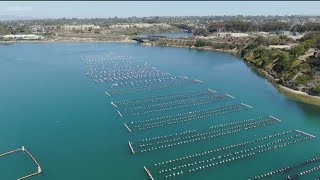 Sustainability takes top priority at Carlsbad Aquafarm