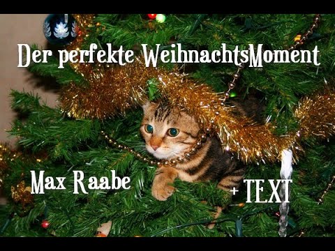 Der Perfekte Weihnachtsmoment - Max Raabe