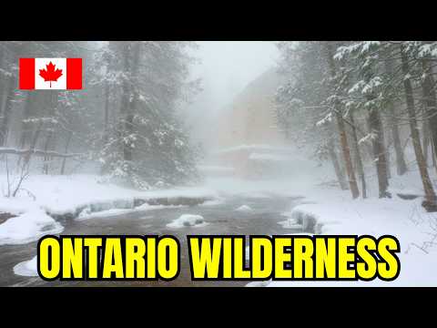 The Edge Of The Ontario Wilderness