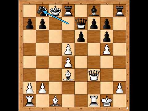 Neverovatni udar po otvorenim linijama i dijagonalama   ⭐⭐⭐⭐  DIEMER vs GUNDERAM #2534